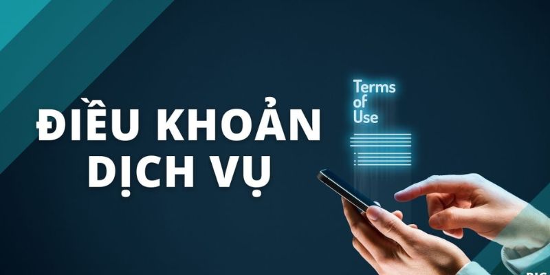 Một vài vấn đề cần lưu ý khi sử dụng các điều khoản dịch vụ N666