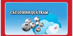 Soi Cầu Quả Trám - Tiết Lộ Bí Quyết Đỉnh Cao Mà Bạn Nên Biết